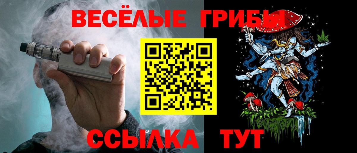 Галлюциногенные грибы Psilocybine cubensis Набережные Челны